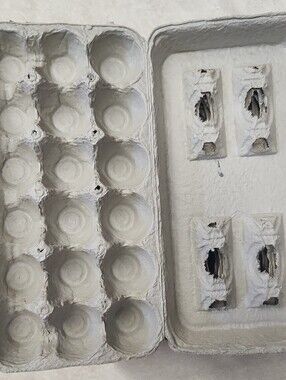 • Used Egg Cartons Lot of 20 Large 18-Count Recycled Paper Egg Storage Crafts